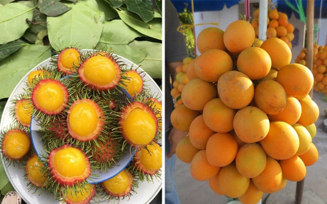 Việt Nam có những loại quả rất "lừa tình": Nhìn thì tưởng sẽ rất ngọt nhưng ăn thử mới biết "thế nào là lễ hội"