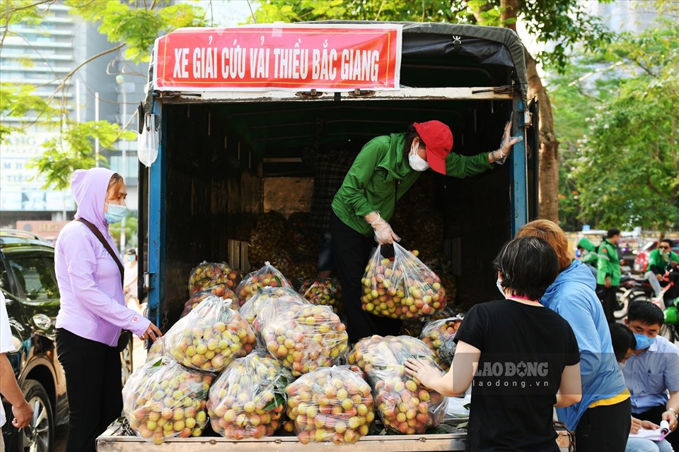 Vải thiều Việt Nam được nhiều quốc gia mê tít: Xuất khẩu hàng nghìn tấn, giá bán có thể lên tới 550k/kg - Ảnh 2.