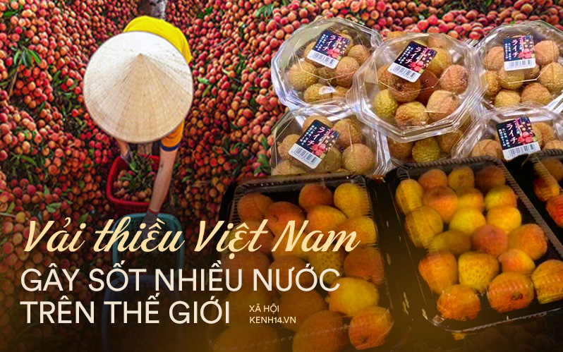 Vải thiều Việt Nam được nhiều quốc gia "mê tít": Xuất khẩu hàng nghìn tấn, giá bán có thể lên tới 550k/kg