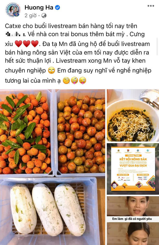 Xuân Bắc chốt 5000 đơn với 85 tấn hàng, chị Nguyệt thảo mai và dàn sao Vbiz nao nức nhập cuộc livestream giải cứu nông sản mùa dịch - Ảnh 8.