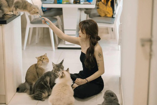 Streamer Linh Ngọc Đàm: Từng từ chối hợp đồng 18.000 USD, nuôi mèo 100 triệu đồng, ở nhà 10 tỷ đồng, không tiếc 2 cây vàng mừng đám cưới bạn - Ảnh 3.