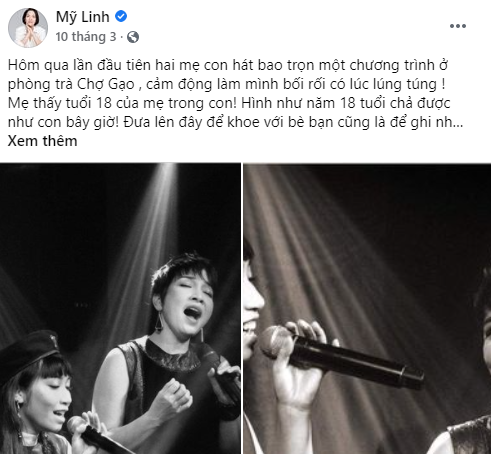 Trưởng Fanclub của Mỹ Anh là đây: FB toàn tâm thư dài viết cho idol, đu trend cover không ngại tuổi tác quá là đáng yêu! - Ảnh 10.