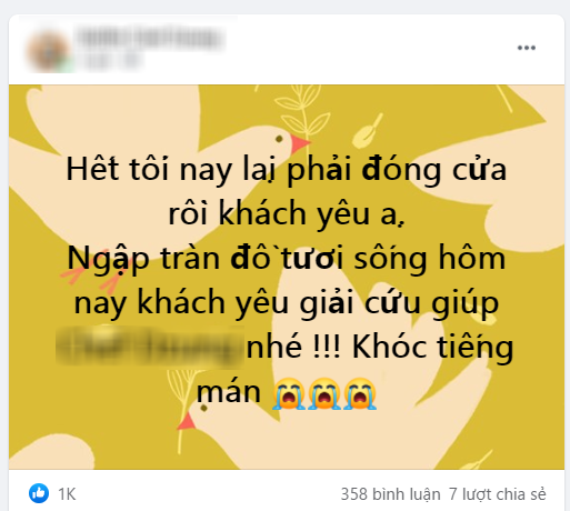  Nh&agrave; h&agrave;ng buffet trở tay kh&ocirc;ng kịp, xả cua C&agrave; Mau, t&ocirc;m h&ugrave;m, cầu cứu kh&aacute;ch trước giờ dừng b&aacute;n - Ảnh 3.