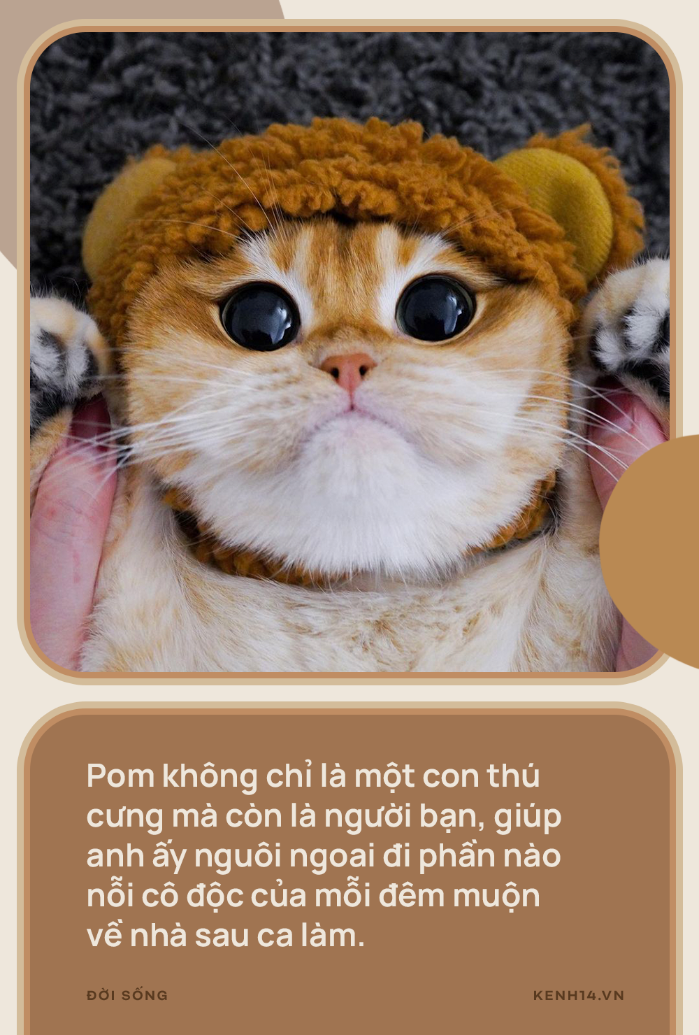 Vì sao đừng nói thú cưng chỉ là chó, mèo? - Ảnh 3.