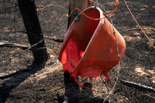 Cháy rừng bùng phát mạnh ở các bang miền Tây nước Mỹ, hàng nghìn ngôi nhà bị ảnh hưởng - Ảnh 6.
