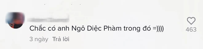 Đu trend nhún nhảy cùng Lisa (BLACKPINK) trên TikTok, Minh Tú vẫn không quên cà khịa drama Ngô Diệc Phàm? - Ảnh 8.