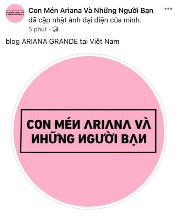 1 loạt fanpage của Taylor Swift, Lady Gaga và sao US-UK tại Việt Nam đổi avatar đen hồng như trúng lời nguyền BLACKPINK, chuyện gì đây? - Ảnh 4.