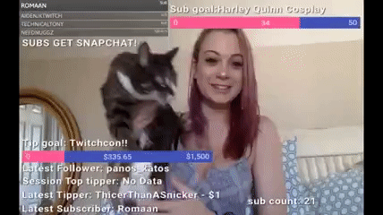 Bị m&egrave;o cưng đạp ch&iacute; mạng, tụt cả &aacute;o trong lẫn &aacute;o ngo&agrave;i, nữ streamer xinh đẹp lộ hẳn điểm nhạy cảm ngay tr&ecirc;n s&oacute;ng trực tiếp - Ảnh 2.