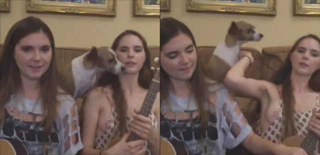 Bị m&egrave;o cưng đạp ch&iacute; mạng, tụt cả &aacute;o trong lẫn &aacute;o ngo&agrave;i, nữ streamer xinh đẹp lộ hẳn điểm nhạy cảm ngay tr&ecirc;n s&oacute;ng trực tiếp - Ảnh 6.