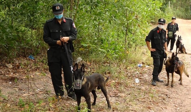 Huy động hơn 300 cảnh sát truy tìm nghi can sát hại mẹ vợ ở Quảng Bình - Ảnh 1.