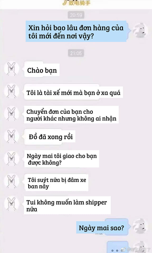 7749 cuộc hội thoại chân thật cười ra nước mắt thời gặp shipper nhiều hơn cả người yêu - Ảnh 15.