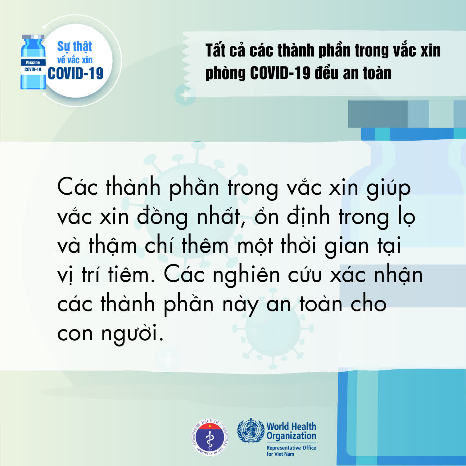 Giải ngố mùa dịch: Bạn có thể gặp nguy hiểm khi tiêm vắc xin Covid-19? - Ảnh 1.