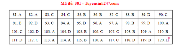 Đáp án đề thi tốt nghiệp THPT Quốc gia 2021 TẤT CẢ CÁC MÔN - Ảnh 4.