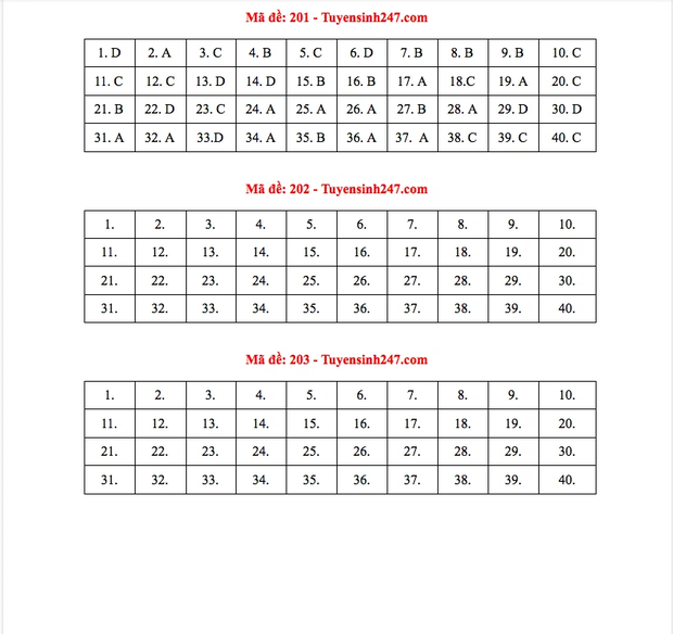 Đáp án đề thi tốt nghiệp THPT Quốc gia 2021 TẤT CẢ CÁC MÔN - Ảnh 5.