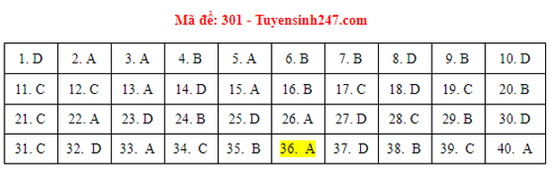 Đáp án đề thi tốt nghiệp THPT Quốc gia 2021 TẤT CẢ CÁC MÔN - Ảnh 2.