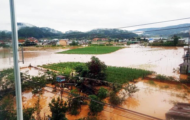 Giải cứu gia đình 6 người ở Lâm Đồng, sơ tán hàng chục hộ dân tránh lũ dữ - Ảnh 2.