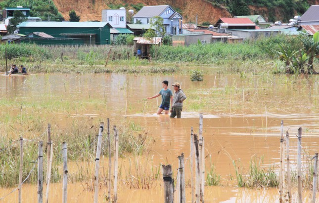 Giải cứu gia đình 6 người ở Lâm Đồng, sơ tán hàng chục hộ dân tránh lũ dữ - Ảnh 3.