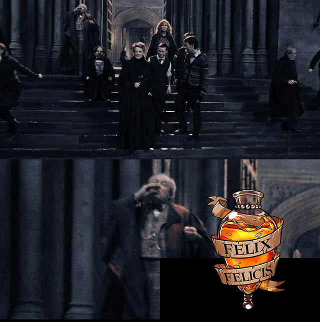 14 khoảnh khắc chứng tỏ Harry Potter chi tiết đến sợ, dự báo luôn kết cục của Voldemort mà chẳng ai để ý! - Ảnh 13.