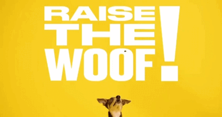 Nói mình là người yêu chó, mà không biết bài hát được sáng tác dành riêng cho hội chảnh boss này là bạn dở rồi! - Ảnh 3. Nói mình là người yêu chó, mà không biết bài hát được sáng tác dành riêng cho hội chảnh boss này là bạn dở rồi! - Ảnh 3.