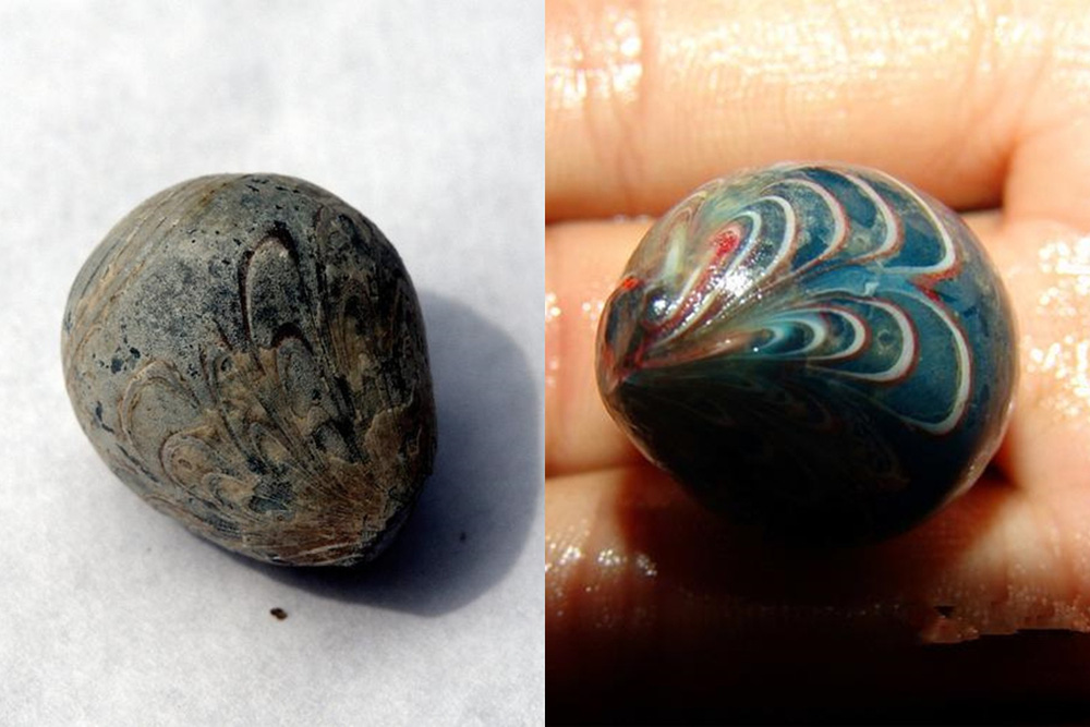  Vi&ecirc;n đ&aacute; đột nhi&ecirc;n đổi m&agrave;u khi gặp nước, người đ&agrave;n &ocirc;ng nửa mừng nửa lo kh&ocirc;ng biết m&igrave;nh đ&atilde; nhặt về thứ g&igrave; - Ảnh 1.