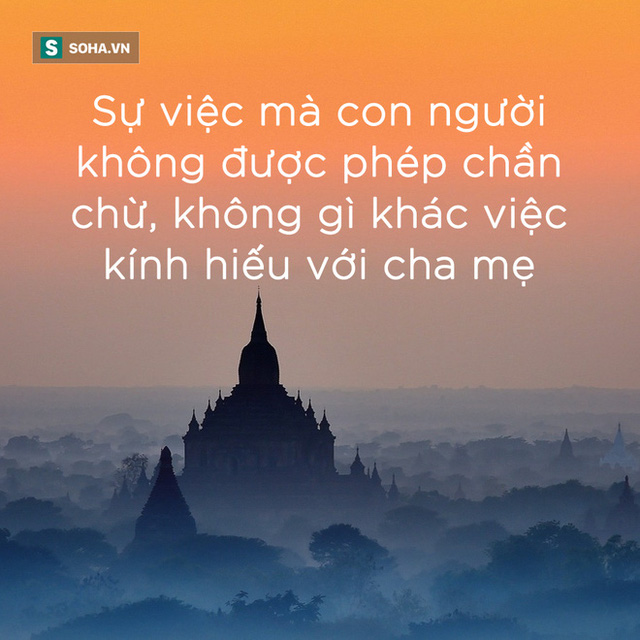 Gọi cho 6 người con nhưng chỉ cậu út đến đón, người cha trước khi chết đã làm 1 việc khiến 5 người con còn lại phải xấu hổ - Ảnh 3.