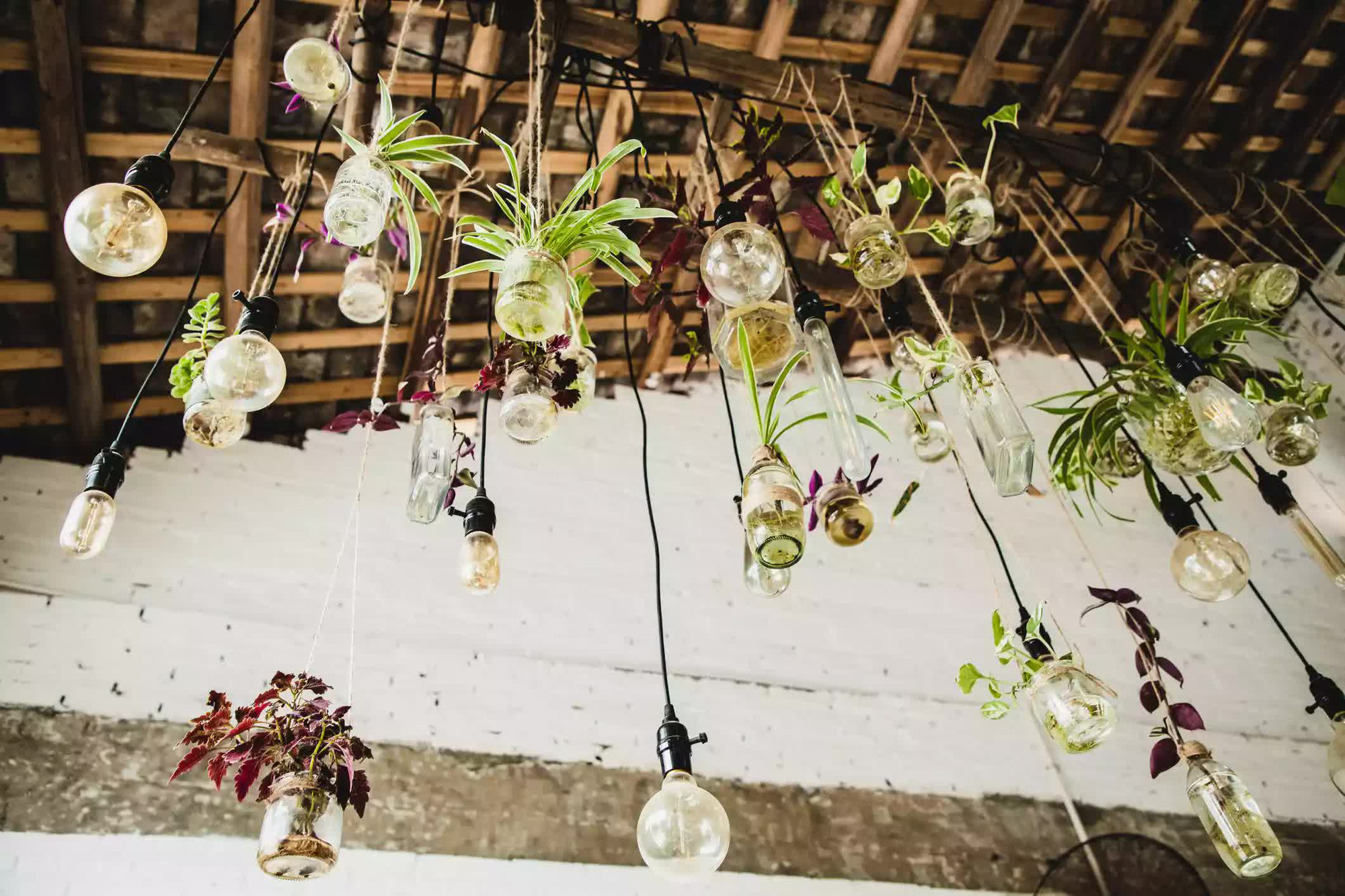 Bắt chước hot Instagrammer cách decor đồ gỗ với cây cực xinh, người ...