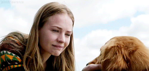 Netizen Việt khóc hết nước mắt vì bộ phim siêu cảm động về cuộc đời chú chó chuyển kiếp: Chỉ muốn chạy vào màn hình ôm mà khóc! - Ảnh 5.