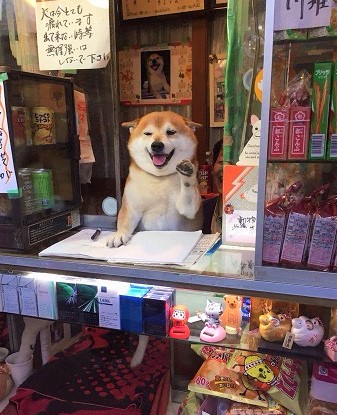 Chú chó bán tạp hóa nổi tiếng khắp Châu Á vì quá là chiều khách, chỉ tiếc mới kinh doanh được 2 năm thì... sập tiệm - Ảnh 8.