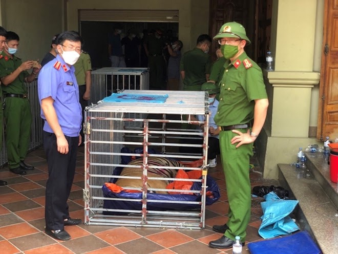 Làm rõ nguyên nhân vì sao 8/17 con hổ chết trong quá trình giải cứu? - Ảnh 3. Làm rõ nguyên nhân vì sao 8/17 con hổ chết trong quá trình giải cứu? - Ảnh 3.