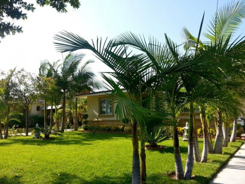 Xỉu ngang với độ giàu có của Quang Lê: Ở biệt thự dát vàng giá trăm tỷ, ăn tôm hùm, mạnh tay vung tiền mua sắm rồi vứt xó - Ảnh 4. Xỉu ngang với độ giàu có của Quang Lê: Ở biệt thự dát vàng giá trăm tỷ, ăn tôm hùm, mạnh tay vung tiền mua sắm rồi vứt xó - Ảnh 4.
