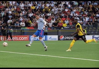 Loài động vật hiền lành nhưng lại khiến Ronaldo và gia đình rời khỏi biệt thự gần 200 tỷ đồng chỉ sau 2 tuần - Ảnh 2.