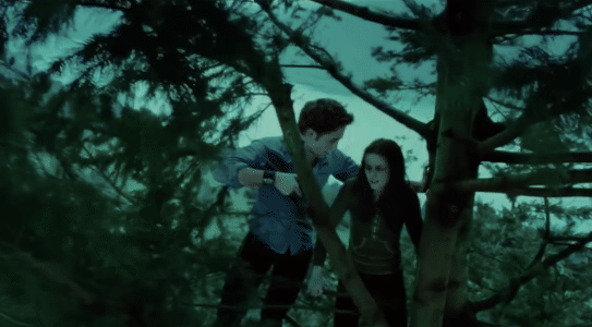 Thất thần hậu trường cảnh trèo cây lãng mạn ở Twilight: Cứ tưởng kỹ xảo, hóa ra có bí kíp thông minh mà nguy hiểm vì... thiếu tiền - Ảnh 3.