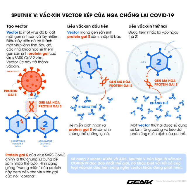 Vắc-xin Sputnik V: Công nghệ, độ an toàn và hiệu quả, khả năng chống biến thể Delta - Ảnh 2.