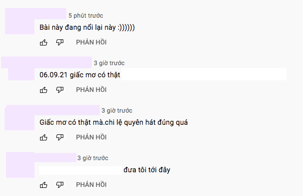 Ai cũng có một hoặc nhiều giấc mơ nhưng chỉ mình Lệ Quyên ở Vbiz này là sở hữu Giấc Mơ Có Thật thôi! - Ảnh 5.