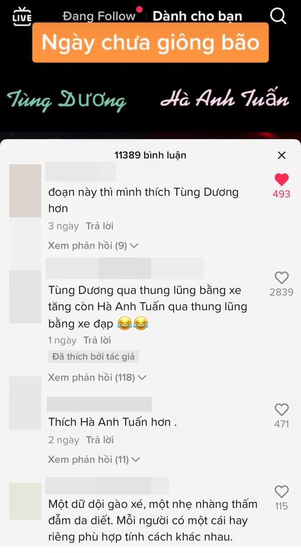 Cùng đi qua thung lũng: Hà Anh Tuấn bị chê hát lê thê như tiếng mèo con, còn Tùng Dương lại được khen như chúa sơn lâm - Ảnh 5.