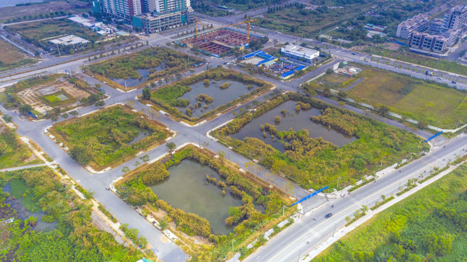Chủ tịch Tập đoàn Tân Hoàng Minh: Ông trùm bất động sản với hàng loạt dự án hạng sang, đời tư kín kẽ bên 3 người con tài năng - Ảnh 2.