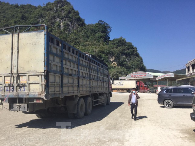  Lạng Sơn tạm dừng tiếp nhận xe chở hoa quả tươi đến cửa khẩu từ 17/1 đến Tết Nguyên đán  - Ảnh 1.
