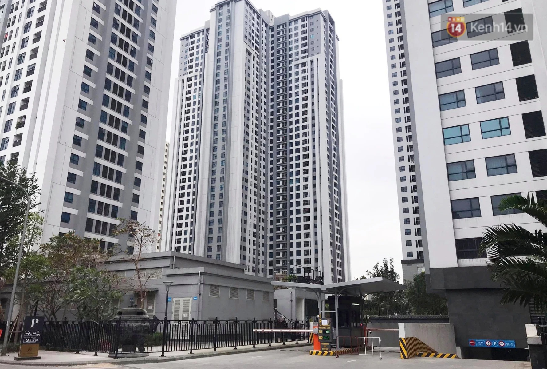 Ở thành phố lương 20 triệu/ tháng đến 40 tuổi vẫn chưa mua được nhà, về quê mua đất nuôi cá và trồng thêm rau thì sao? - Ảnh 1. Ở thành phố lương 20 triệu/ tháng đến 40 tuổi vẫn chưa mua được nhà, về quê mua đất nuôi cá và trồng thêm rau thì sao? - Ảnh 1.