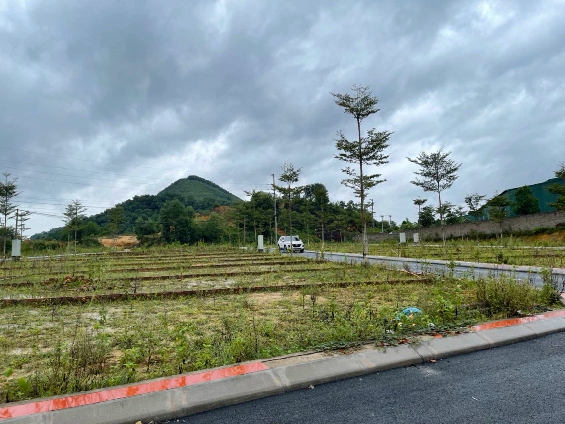 Ở thành phố lương 20 triệu/ tháng đến 40 tuổi vẫn chưa mua được nhà, về quê mua đất nuôi cá và trồng thêm rau thì sao? - Ảnh 3. Ở thành phố lương 20 triệu/ tháng đến 40 tuổi vẫn chưa mua được nhà, về quê mua đất nuôi cá và trồng thêm rau thì sao? - Ảnh 3.
