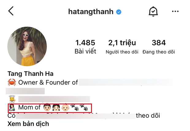 Lộ t&ecirc;n gọi của nh&oacute;c tỳ thứ 3 nh&agrave; H&agrave; Tăng, l&agrave; g&igrave; m&agrave; d&acirc;n t&igrave;nh rần rần th&iacute;ch th&uacute;? - Ảnh 4.