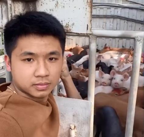 Tự lái ô tô chở 2 con lợn cho khách, chủ trại khốn đốn khi quay lại kiểm tra ghế sau - Ảnh 1.