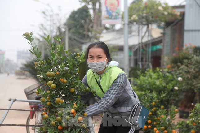 Làng hoa vào vụ Tết, người dân kiếm 20-30 triệu đồng mỗi ngày - Ảnh 13.