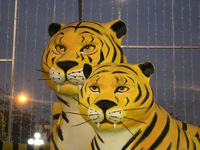 &ldquo;Gia đ&igrave;nh hổ&rdquo; bỗng dưng nổi tiếng ở Bạc Li&ecirc;u - Ảnh 4.