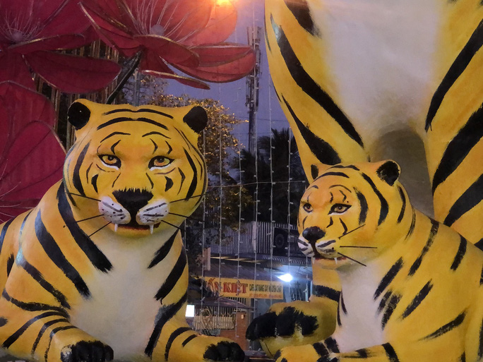 &ldquo;Gia đ&igrave;nh hổ&rdquo; bỗng dưng nổi tiếng ở Bạc Li&ecirc;u - Ảnh 5.