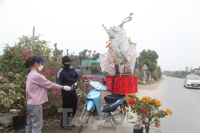 Làng hoa vào vụ Tết, người dân kiếm 20-30 triệu đồng mỗi ngày - Ảnh 9.