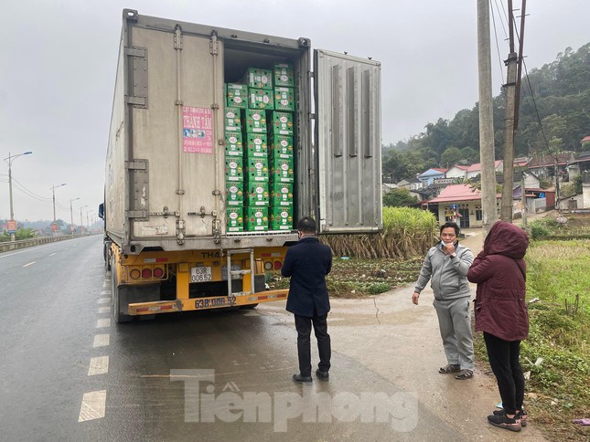 Lạng Sơn mỗi ngày giải cứu hàng trăm tấn trái cây quay đầu - Ảnh 1.