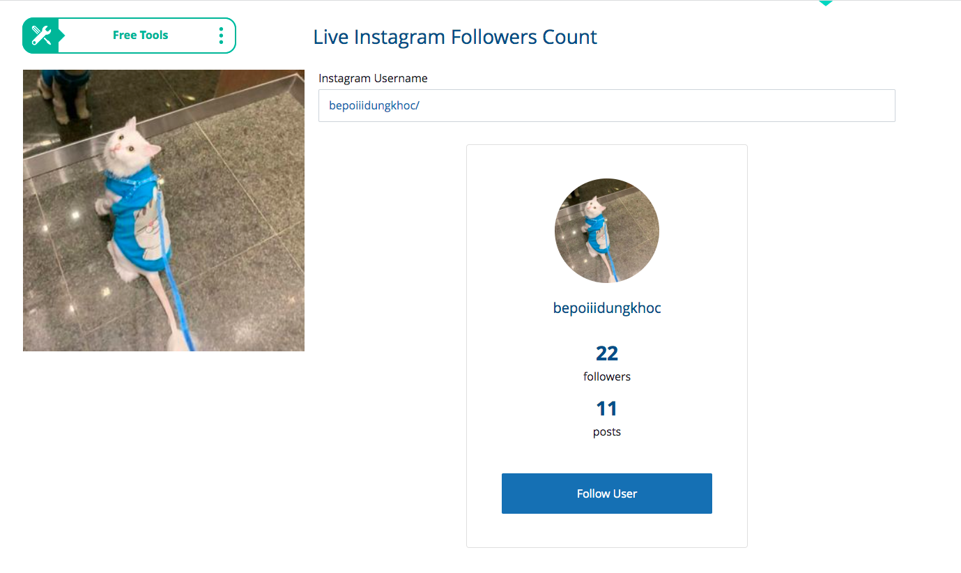 Mẹo xem ảnh đại diện n&eacute;t căng của người kh&aacute;c tr&ecirc;n Instagram, chấp cả chế độ Private - Ảnh 3.