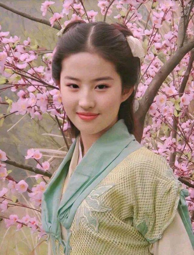 Yuki chinese. Китайский Паладин Чжао Лин. Хай Лин актриса Китай в роли принцессы Чжао. Эпоха Линсяо приложение.