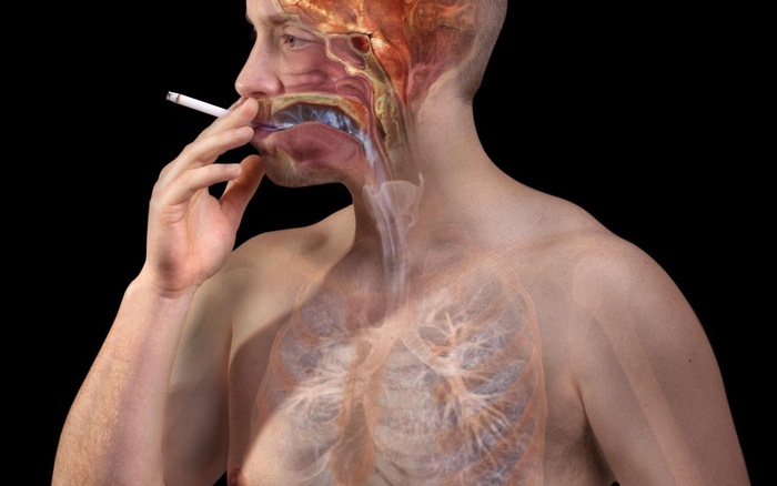 Tế bào ung thư phổi rất thích những người có 5 đặc điểm này, nếu có dù chỉ 1 cũng nên đi khám ngay - Ảnh 5.