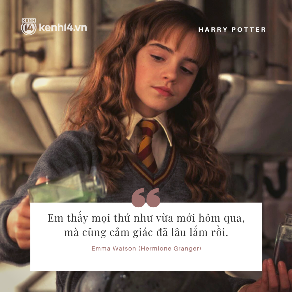 7 quote từ sự kiện Harry Potter 20 năm khiến fan rưng rưng nước mắt: Lụy tim lời tỏ tình của Hermione, bác Hagrid nói 1 câu nghe nhói lòng! - Ảnh 3.